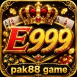 E999 game